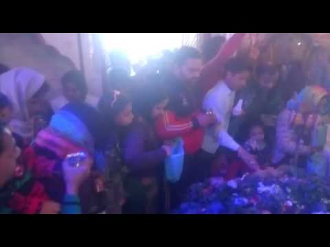 puja and mahashivratri celebration in up shiva temples