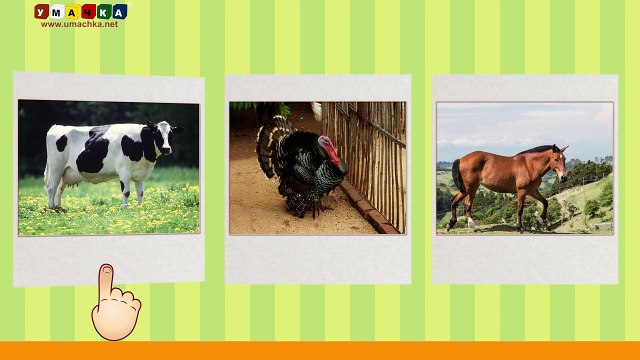 Алфавит русский Учим Буквы и Звуки с Кругляшиком - Буква И