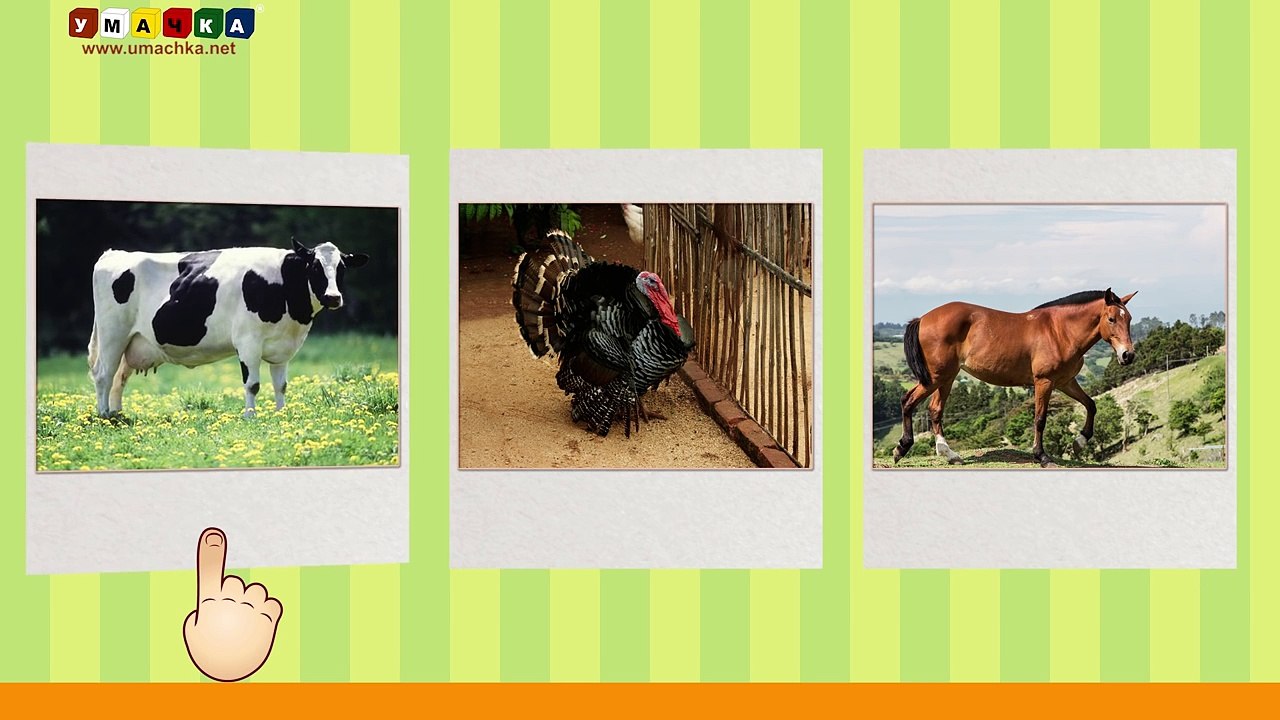 Алфавит русский Учим Буквы и Звуки с Кругляшиком - Буква И