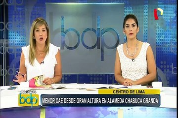 Denuncian falta de seguridad en muros de alameda Chabuca Granda