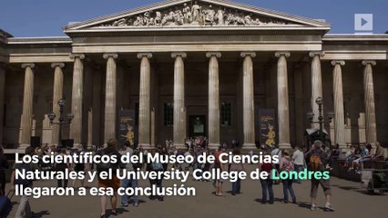 Piel negra y ojos azules: así eran los británicos de hace 10.000 años