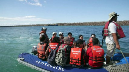 Galápagos, un paraíso con derecho de admisión
