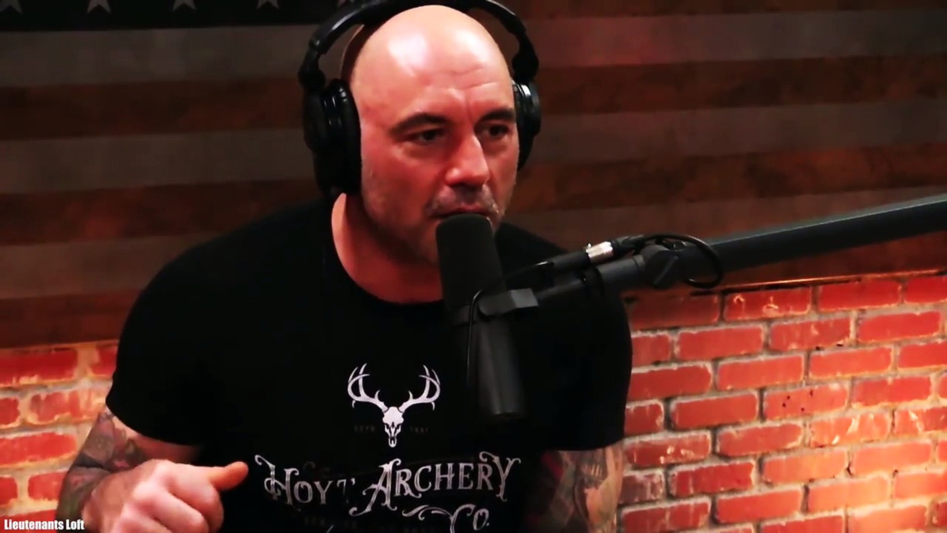 Joe Rogan Stoned