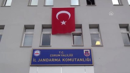 Zeytin Dalı Harekatı"Na Katılan Askerler İçin 250 Kilogram Bal Gönderdiler