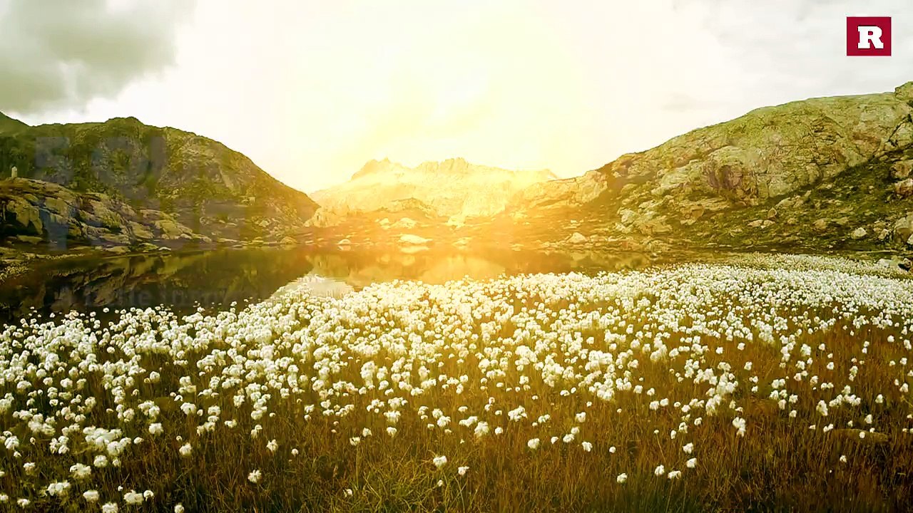 Quotes to brighten your day | Rare Life