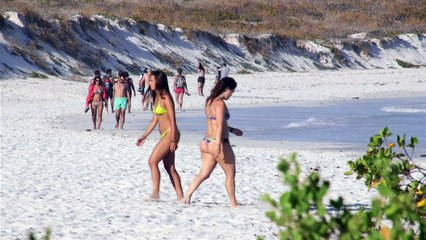 Galápagos luta para equilibrar turismo e ecossistemas
