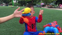 Finger Family Song Spiderman Hulk Superhero | Baby Songs Nursery Rhymes | The Surprise For Kids