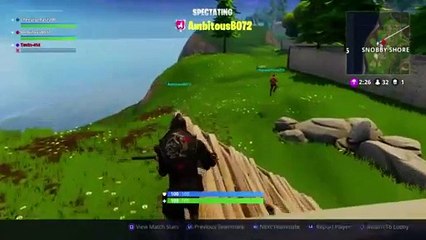 Fortnite: Playing With Friends (18)