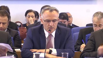 Maliye Bakanı Ağbal: "Özgürlükleri Her Zaman Geliştirdik, Geliştirmeye de Devam Edeceğiz"