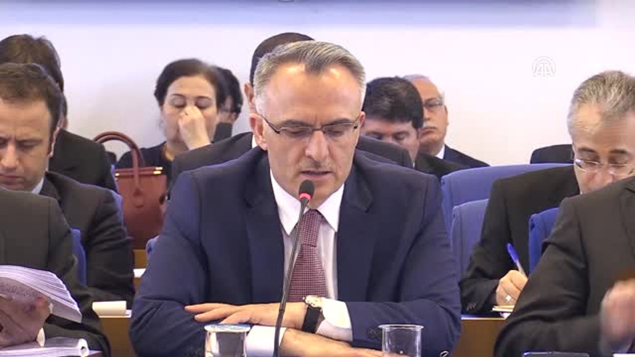 Maliye Bakanı Ağbal: "Özgürlükleri Her Zaman Geliştirdik, Geliştirmeye de Devam Edeceğiz"