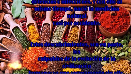 ESPECIAS, SU IMPORTANCIA EN LA COCINA Y EN LA SALUD