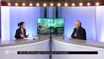 L'invité de la rédaction -  08/02/2018 - Henry FREMONT