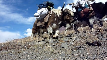 Ancient Silk Road barter trade continues across High Asia's peak
