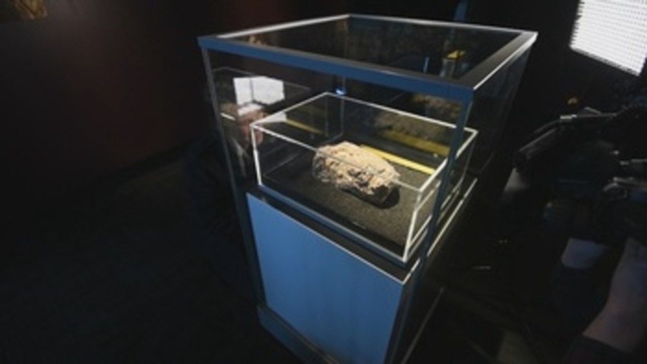 Grasa, aceite y productos sanitarios van de las cloacas al Museo de Londres