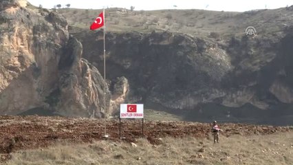 Batman'da "Şehitler Ormanı" Oluşturuldu