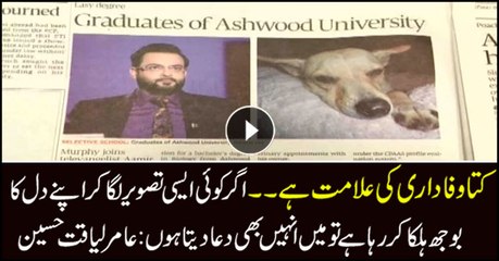 Dog is symbol of loyalty: Aamir Liaquat