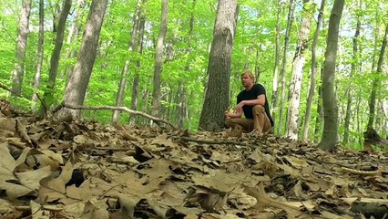 Easy Survival Shelter (Stay Warm and Dry)