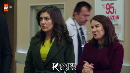 Kemal’in Tuba ile hesaplaşması! - Kanatsız Kuşlar 33.Bölüm