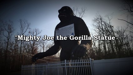Mighty Joe Gorilla, Mr Bill and the Robot Statues (Axis Video)