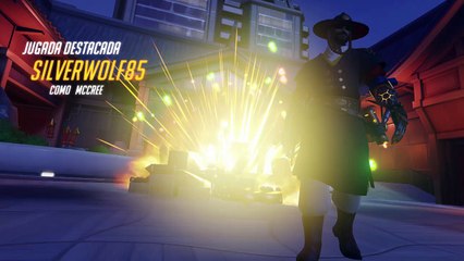 Año Lunar Overwatch Año del Perro