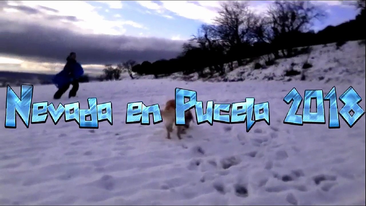 Nevada en Valladolid 2018
