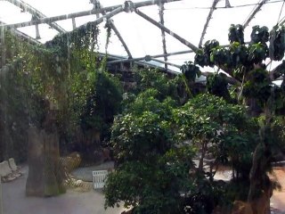 Center Parcs 2010 (2)