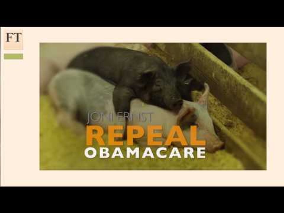 US midterms 2014: what to expect