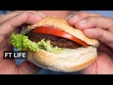 Food 2.0: meat made out of plants | FT Life