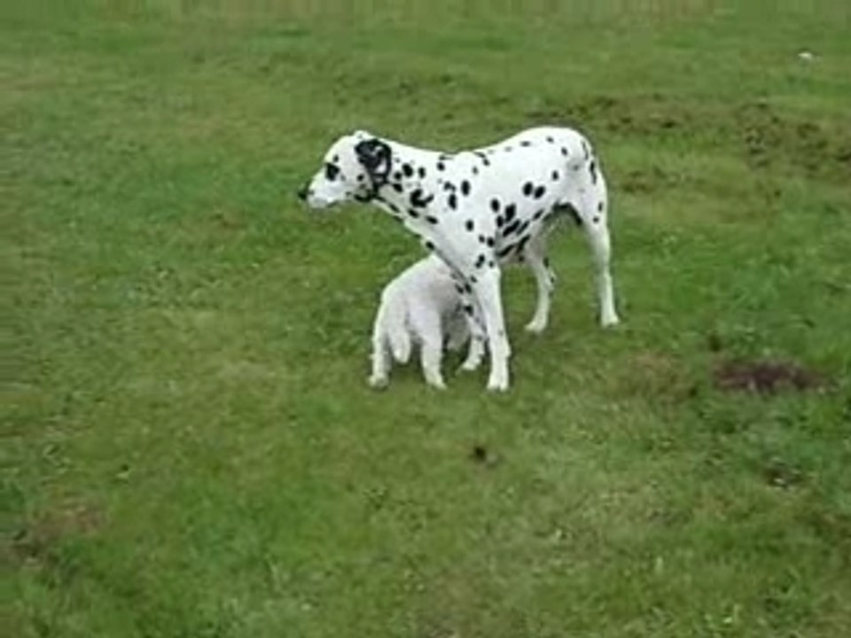 Chrissou_ und_ Gerald_ spielen