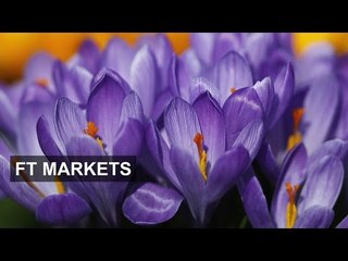 Signs of life in Europe's equities | FT Markets