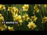 Springtime for the stock market | FT Markets