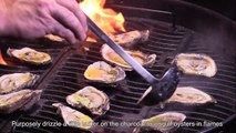 How To Shuck, Prepare, & Eat Oysters