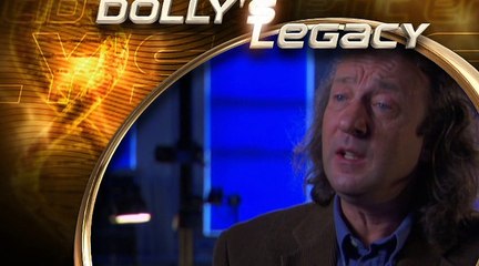 Dolly The First Cloned Sheep