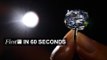 Kerry warns on climate deal, Blue moon diamond sold for $48m | FirstFT
