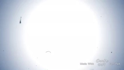 American Boyfriend - Short Film