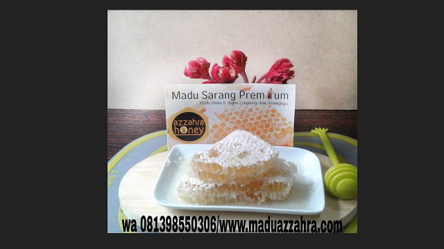 Garansi Uang Kembali, WA +62 813-9855-0306, Sarang Madu Lebah