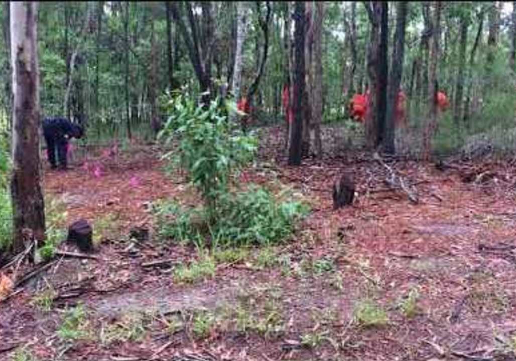 Death of Man Killed in Wood Chipper Accident is 'Suspicious' video