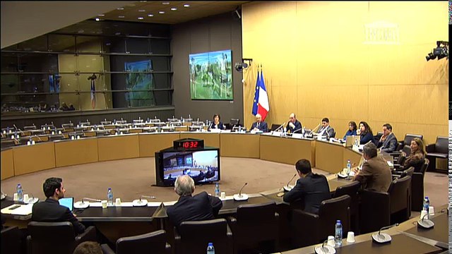 Commission d'enquête sur les décisions de politique industrielle : Mme Claude Revel, ancienne dél. interministérielle à l'intelligence économique (D2IE) ; M. David Azéma, associé de PWP, ancien dir. gl de l’APE - Jeudi 8 février 2018