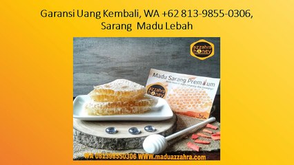 Garansi Uang Kembali, WA +62 813-9855-0306, sarang madu lebah