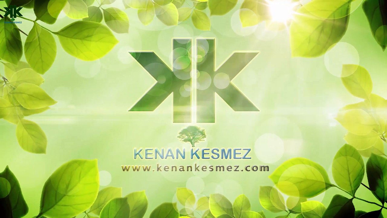 Kokarca yunus balığı  (Alaca yunus balığı)