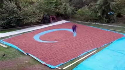 Kar Üzerinde Ay-Yıldız Yapınca Sosyal Medya Yıkıldı