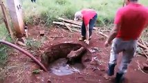 Smart People - Nice way To Protect Cow Fell In The Well