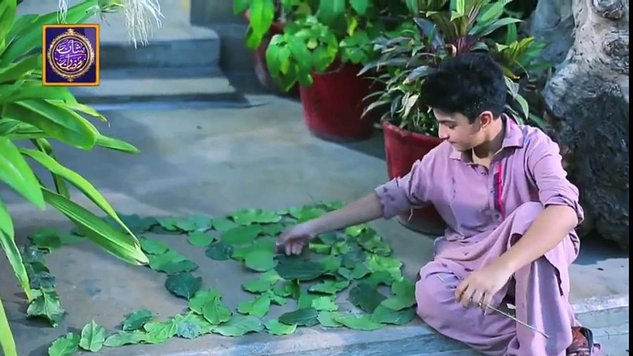 SHAN-A-RAMDAN NATT BY JUNAID JUMSHAID