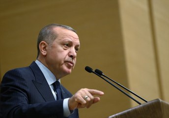 Erdoğan'dan CHP'li Vekil Mahmut Tanal'a Suç Duyurusu