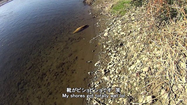 アホな釣り人の末路 Stupid fisherman got what he deserves