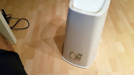 Quand ta poubelle bouge seule... Démon ? Chaton !!