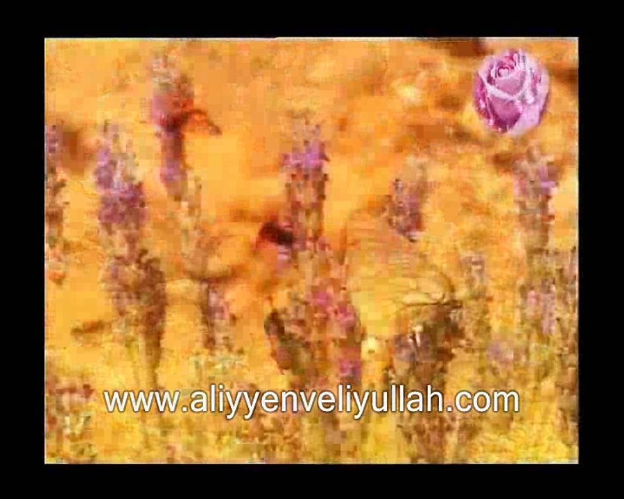 Selavat Selavat