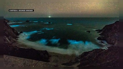 "Mar de estrelas" na Califórnia