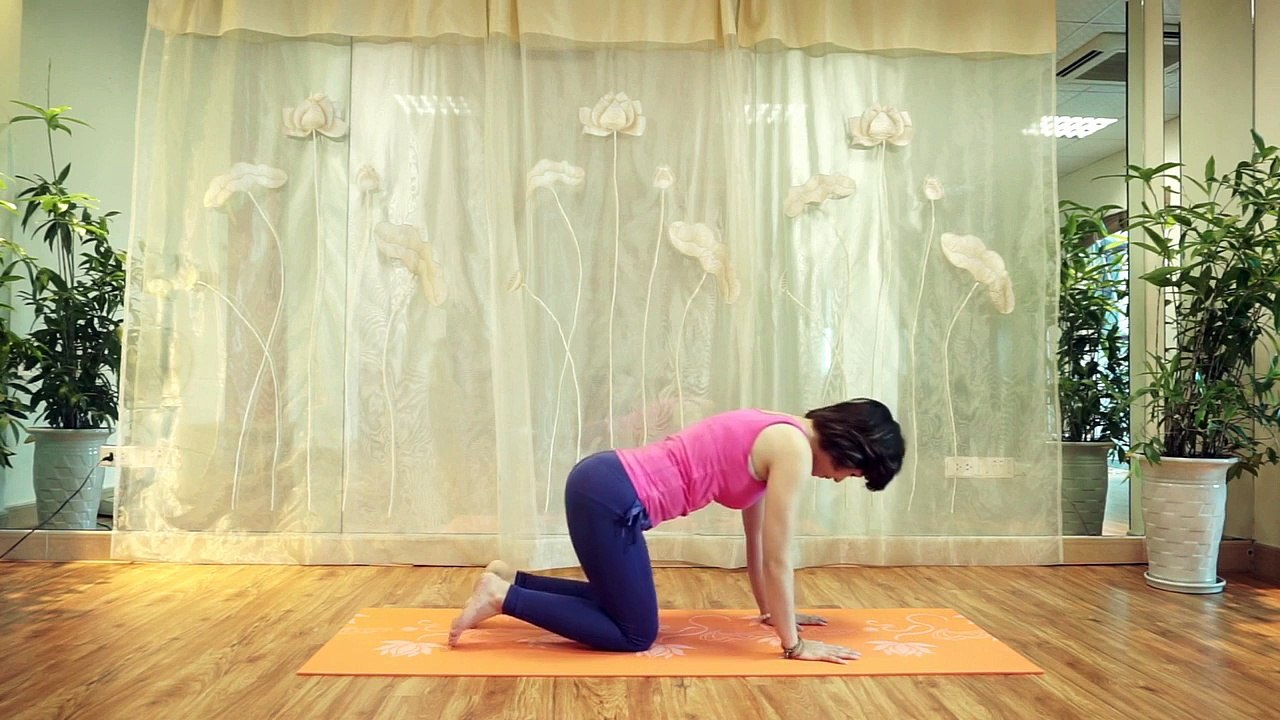 Yoga cơ bản - Tư thế con mèo - [Nguyễn Hiếu Yoga]