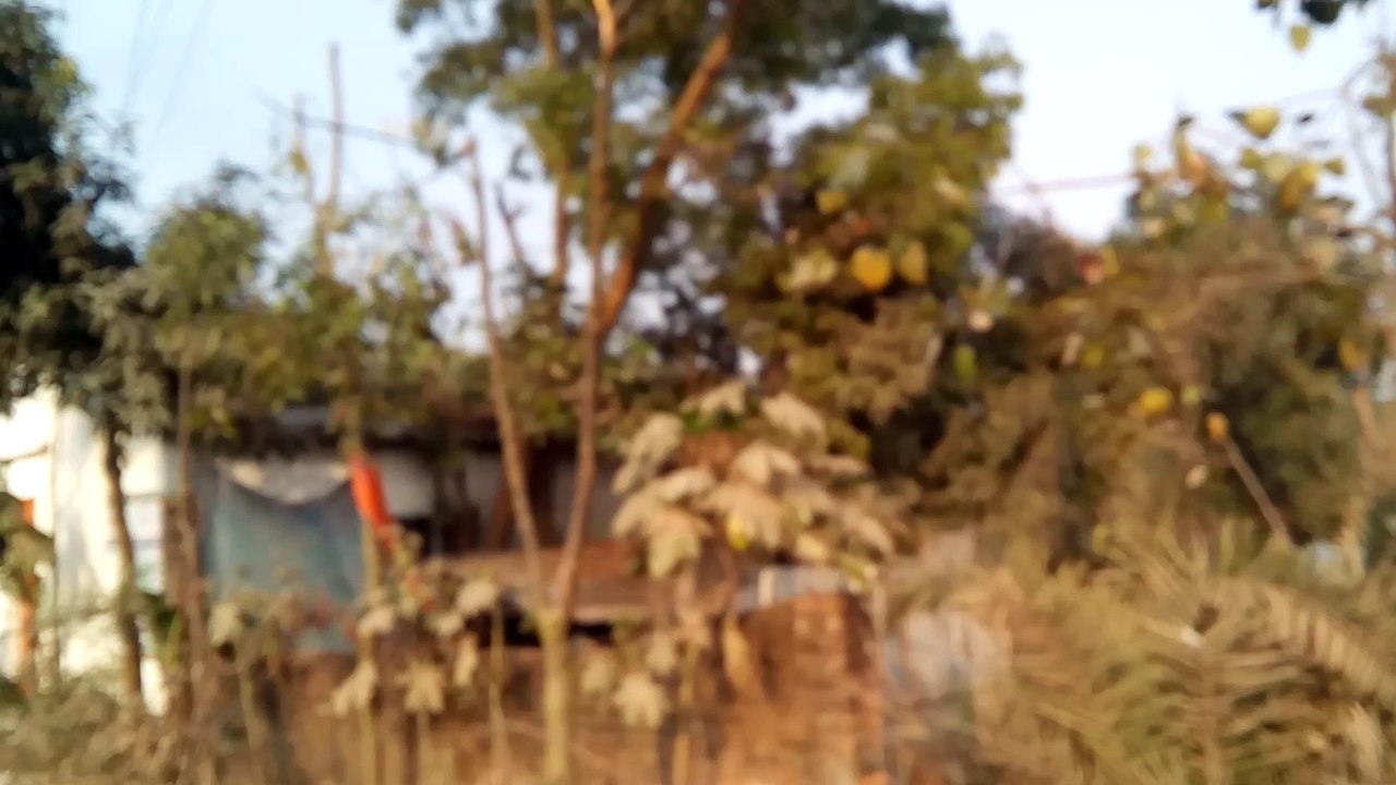 Traveling in Gazipur vlog 4